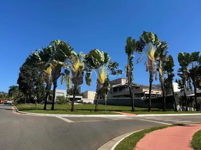 Lote/Terreno à venda, 789m² no Jardins Milão, Goiânia