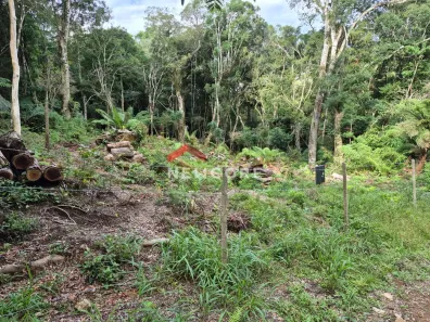 Lote/Terreno à venda, 715m² no Centro, São Francisco de Paula