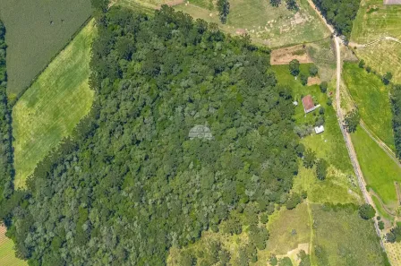 Lote/Terreno à venda, 62920m² no Campo Largo da Roseira, São José dos Pinhais