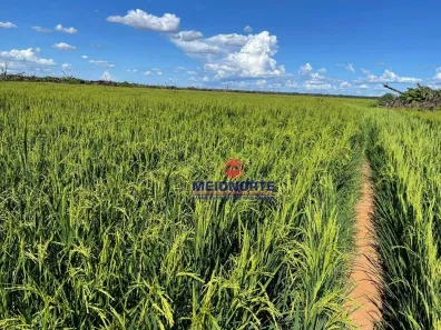 Fazenda/Sítio com 3 Quartos à venda, 12000000m² no , Anapu