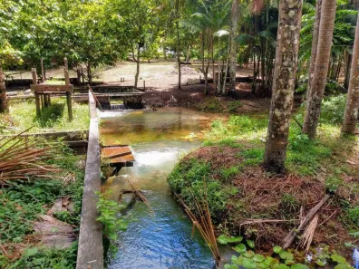 Fazenda/Sítio com 3 Quartos à venda, 29680m² no Mararú, Santarém