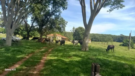 à venda, 84000m² no Rural, Mira Estrela