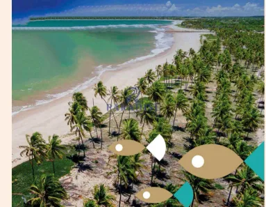 Lote/Terreno à venda, 700m² no Praia do Forte, Mata de São João