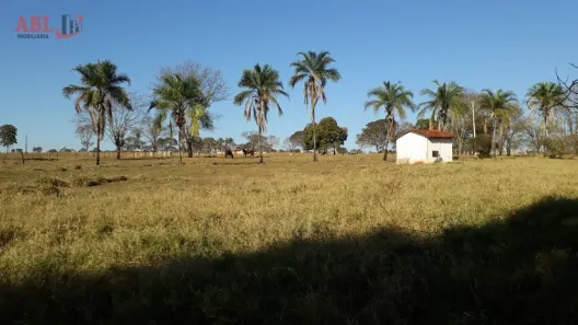 Fazenda/Sítio à venda, 3147600m² no Paranaíba, Ituiutaba