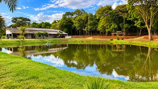 Fazenda/Sítio com 3 Quartos à venda, 400m² no Jardim Floresta, Trindade