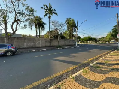 Imóvel Comercial com 3 Quartos para alugar, 350m² no Nova Paulínia, Paulínia