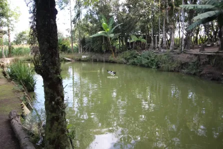 Fazenda/Sítio com 4 Quartos à venda, 22000m² no Área Rural de São José dos Pinhais, São José dos Pinhais