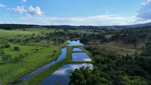 Fazenda/Sítio com 5 Quartos à venda, 15m² no Área Rural de Hidrolândia, Hidrolândia