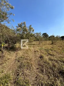 Lote/Terreno à venda, 20000m² no Helvétia, Indaiatuba