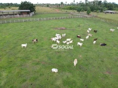 Fazenda/Sítio à venda, 9564967m² no Área Rural de Porto Velho, Porto Velho