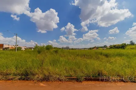 Lote/Terreno à venda, 338m² no Jardim dos Calegaris, Paulínia