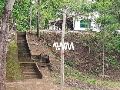 Fazenda/Sítio à venda, 600m² no , Baliza