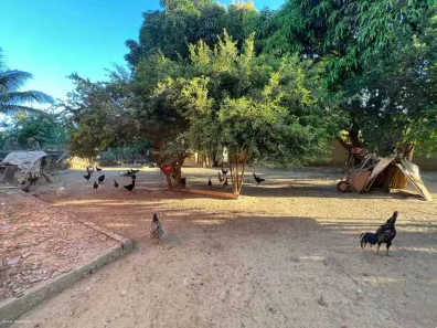 Fazenda/Sítio com 3 Quartos à venda, 2000m² no Chácaras Vale das Andorinhas, Novo Gama
