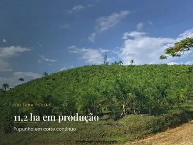 Fazenda/Sítio à venda, 484200m² no , Juquiá