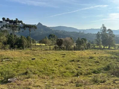 Fazenda/Sítio à venda, 100000m² no Urubici, Urubici