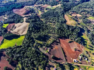 Fazenda/Sítio com 3 Quartos à venda, 150m² no , Tijucas do Sul