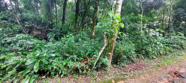 Lote/Terreno à venda, 1365m² no Caraguatá, Mairiporã