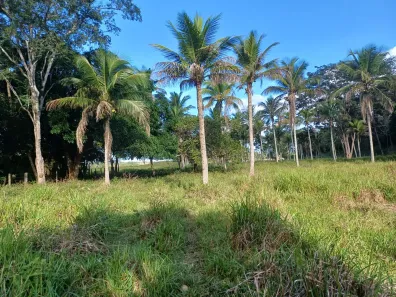 Fazenda/Sítio à venda, 1m² no Regência, Linhares