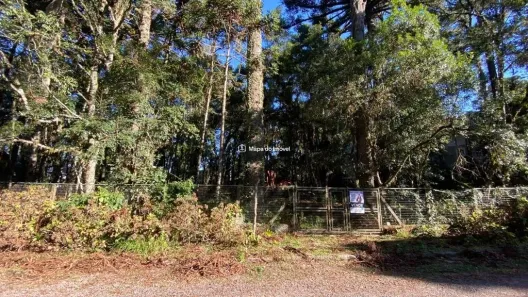 Lote/Terreno à venda, 2526m² no Suzana, Canela