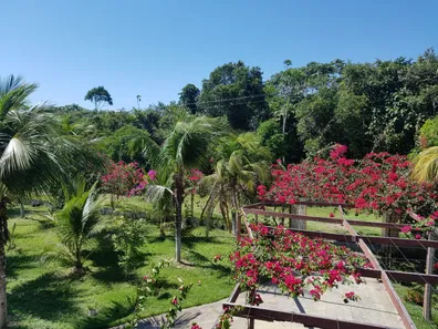 Fazenda/Sítio com 5 Quartos à venda, 10000m² no Tarumã-Açu, Manaus