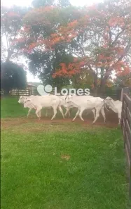 Lote/Terreno à venda, 4840000m² no Setor Marista, Goiânia