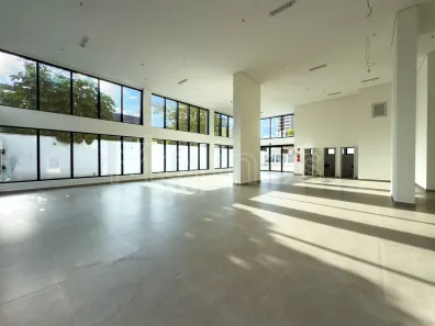 Ponto Comercial para alugar, 250m² no Vila Gomes Cardim, São Paulo