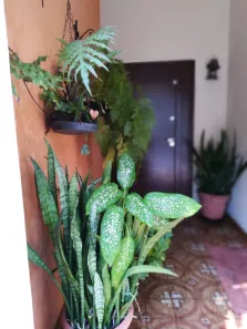 Sobrado com 4 Quartos à venda, 125m² no Santo Amaro, São Paulo