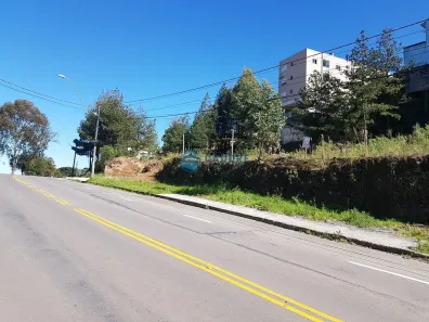 Lote/Terreno à venda, 377m² no São Caetano, Caxias do Sul