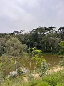 Fazenda/Sítio com 2 Quartos à venda, 30000m² no Cascatas, Campo Alegre