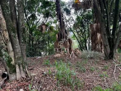 Lote/Terreno à venda, 1328m² no Residencial Tamboré, Barueri