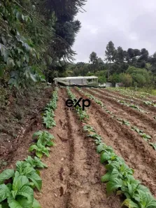 Fazenda/Sítio com 2 Quartos à venda, 50m² no , Agudos do Sul