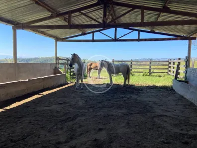 Fazenda/Sítio com 3 Quartos à venda, 701800m² no Vila Santa Izabel, Caçapava