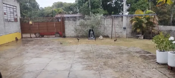 Fazenda/Sítio com 3 Quartos à venda, 1600m² no Área Rural de Caçapava, Caçapava