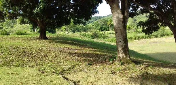 Fazenda/Sítio com 4 Quartos à venda, 387200m² no Rio da Areia (Bacaxá), Saquarema
