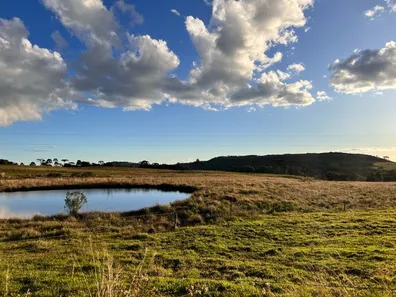 Fazenda/Sítio com 1 Quarto à venda, 20000m² no , Urupema