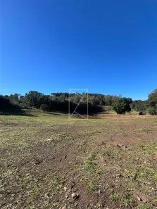 Lote/Terreno à venda, 31916m² no Vinhedos, Caxias do Sul