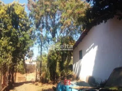 Fazenda/Sítio com 1 Quarto à venda, 400m² no Chácaras Tubalina e Quartel, Uberlândia