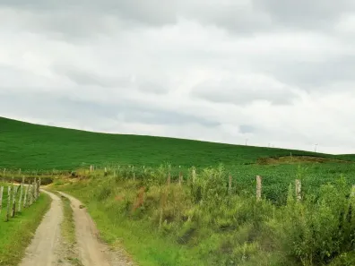 Fazenda/Sítio à venda, 3200000m² no , Bom Retiro