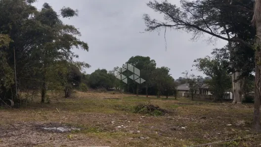 Lote/Terreno à venda, 3750m² no Arroio da Manteiga, São Leopoldo