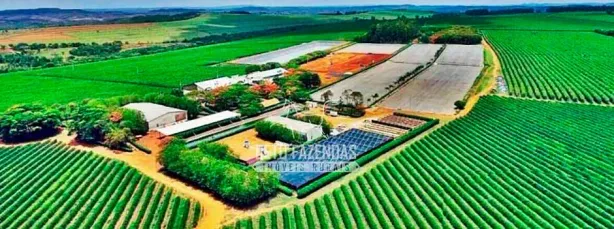 Fazenda/Sítio à venda, 26530000m² no Martins, Uberlândia