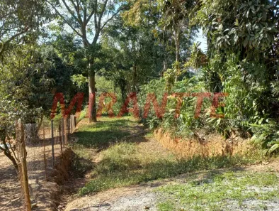 Lote/Terreno à venda, 245m² no Jardim Francisco Mendes, São Paulo