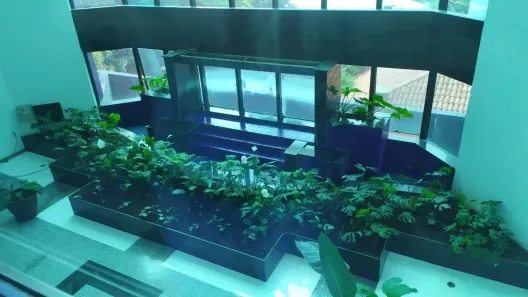Sala Comercial para venda ou aluguel, 175m² no Indianópolis, São Paulo