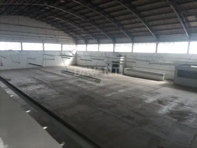 Galpão/Depósito/Armazém para alugar, 2282m² no Vila Georgina, Campinas