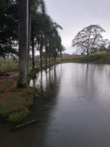 Fazenda/Sítio com 3 Quartos à venda, 179080m² no Centro, Mococa