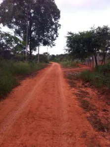 Fazenda/Sítio com 1 Quarto à venda, 4000m² no , Caetanópolis