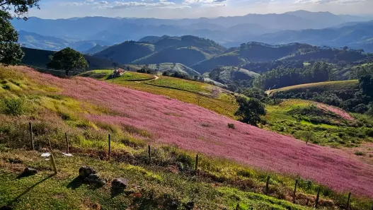 Fazenda/Sítio à venda, 105540m² no , São Bento do Sapucaí