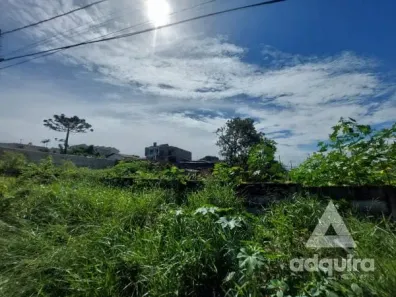 Lote/Terreno à venda, 490m² no Oficinas, Ponta Grossa