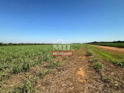 Fazenda/Sítio à venda, 1m² no , Acreúna