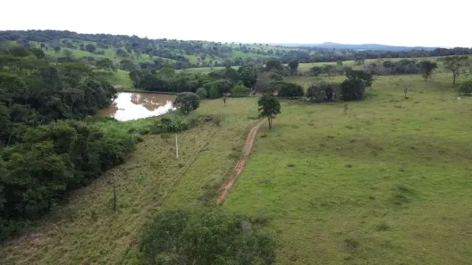 Fazenda/Sítio com 3 Quartos à venda, 320000m² no , Cromínia