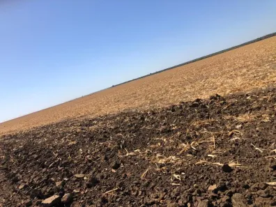 Fazenda/Sítio com 5 Quartos à venda, 220000m² no , Balsas